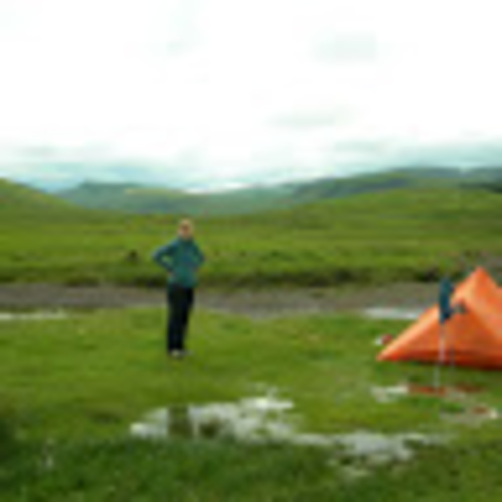 Meet your Posher, Sue